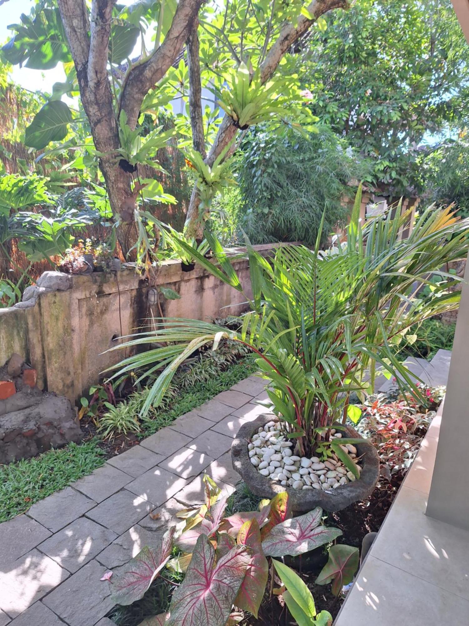 Kasapa Inn Ubud Kültér fotó