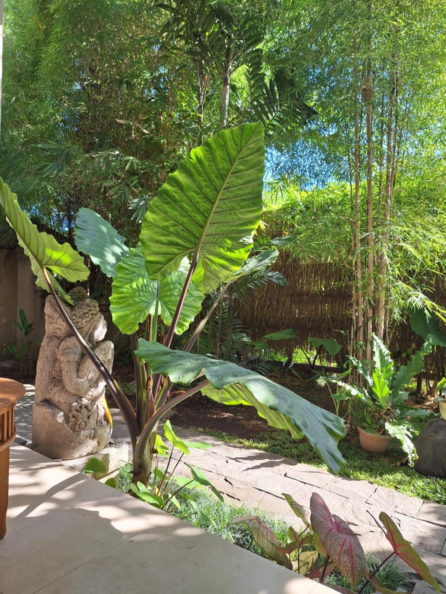 Kasapa Inn Ubud Kültér fotó