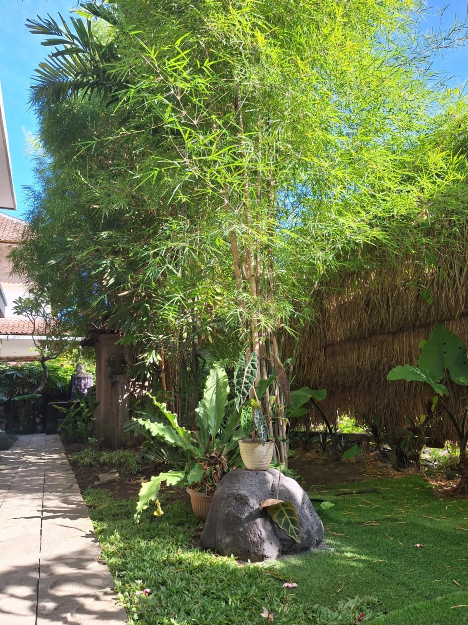Kasapa Inn Ubud Kültér fotó
