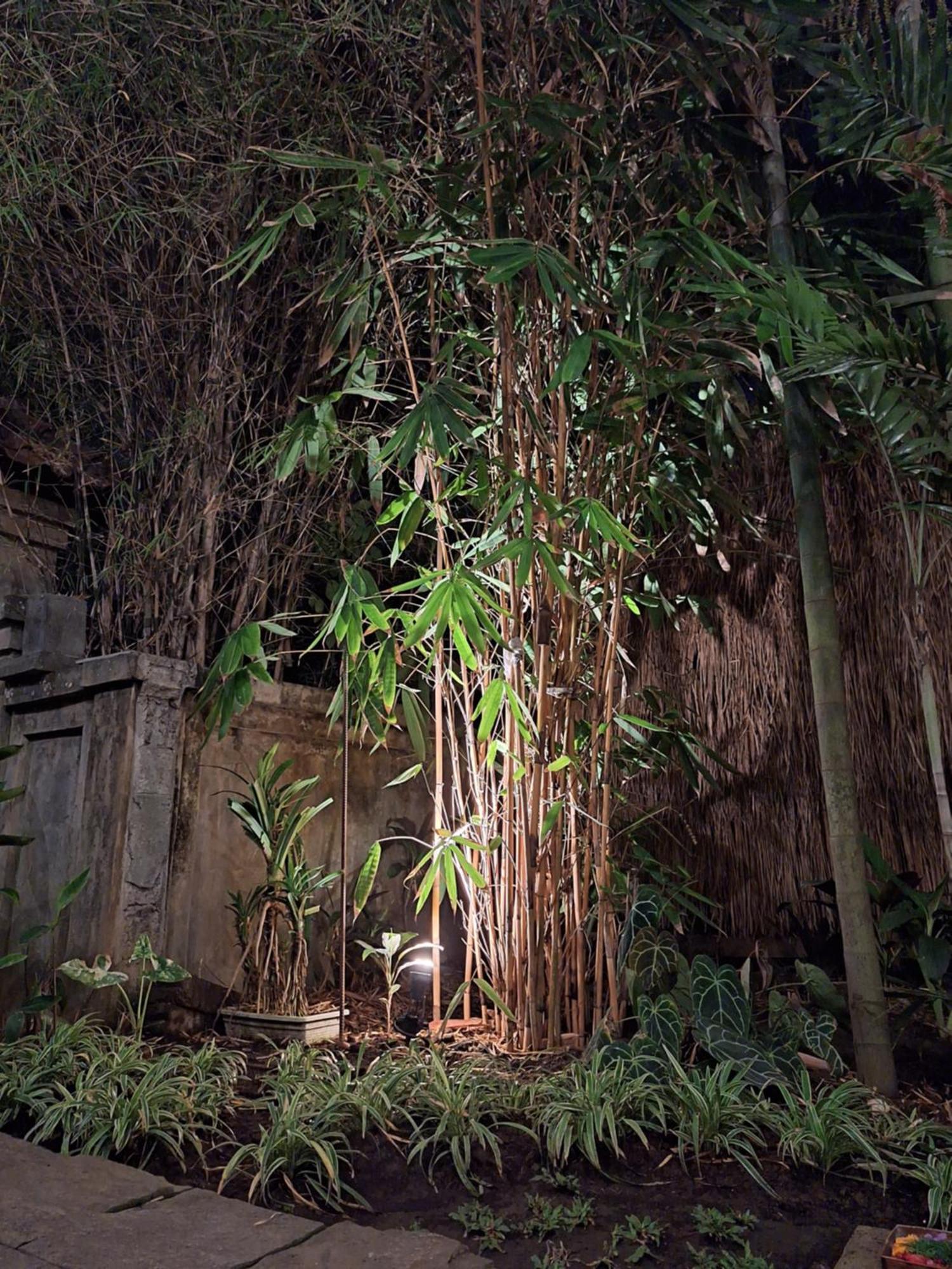 Kasapa Inn Ubud Kültér fotó